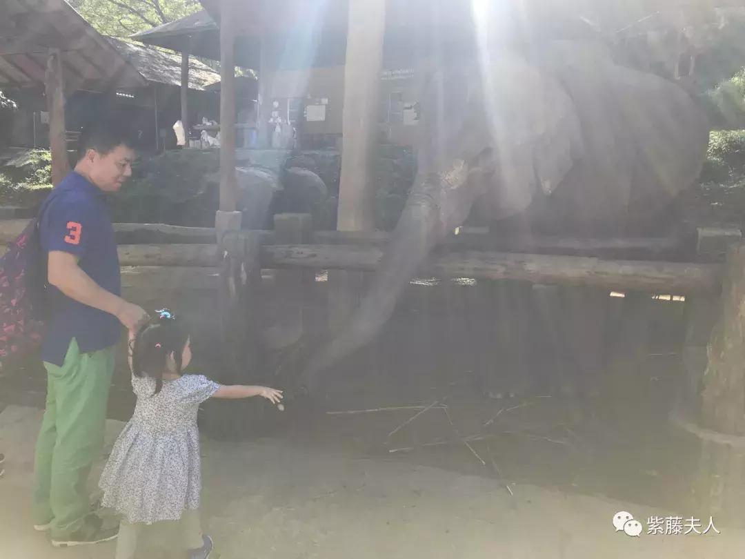 去泰国清迈旅行攻略,最新泰国清迈旅游攻略