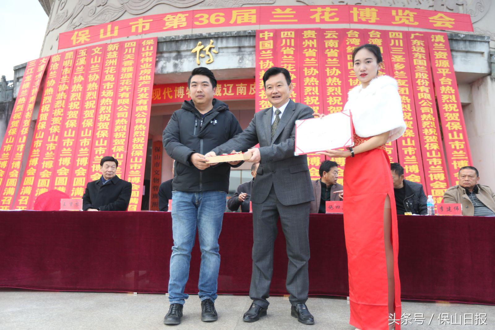 保山兰花展金奖,2019年昆明兰花展金奖兰花