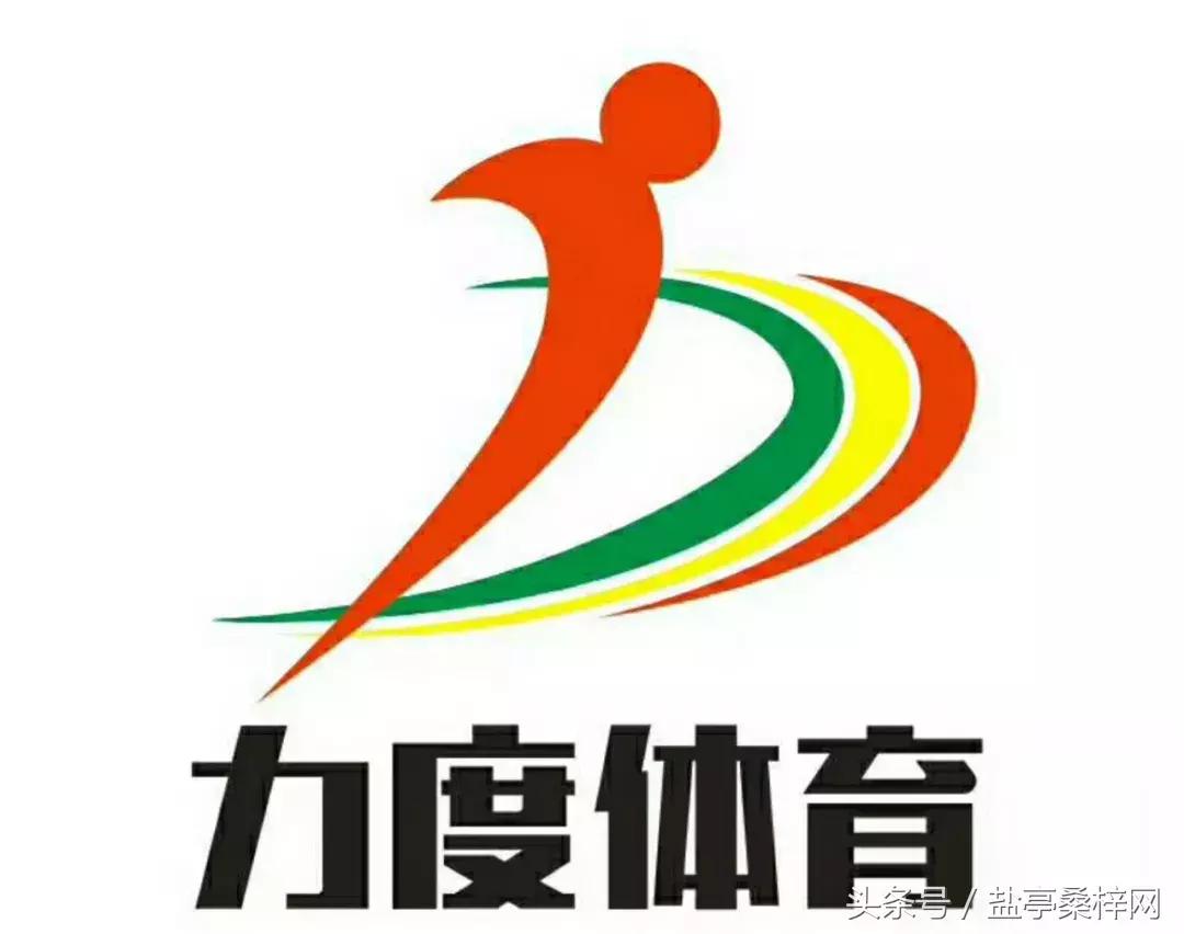 嫘祖球赛,绵阳盐亭嫘祖青少年足球