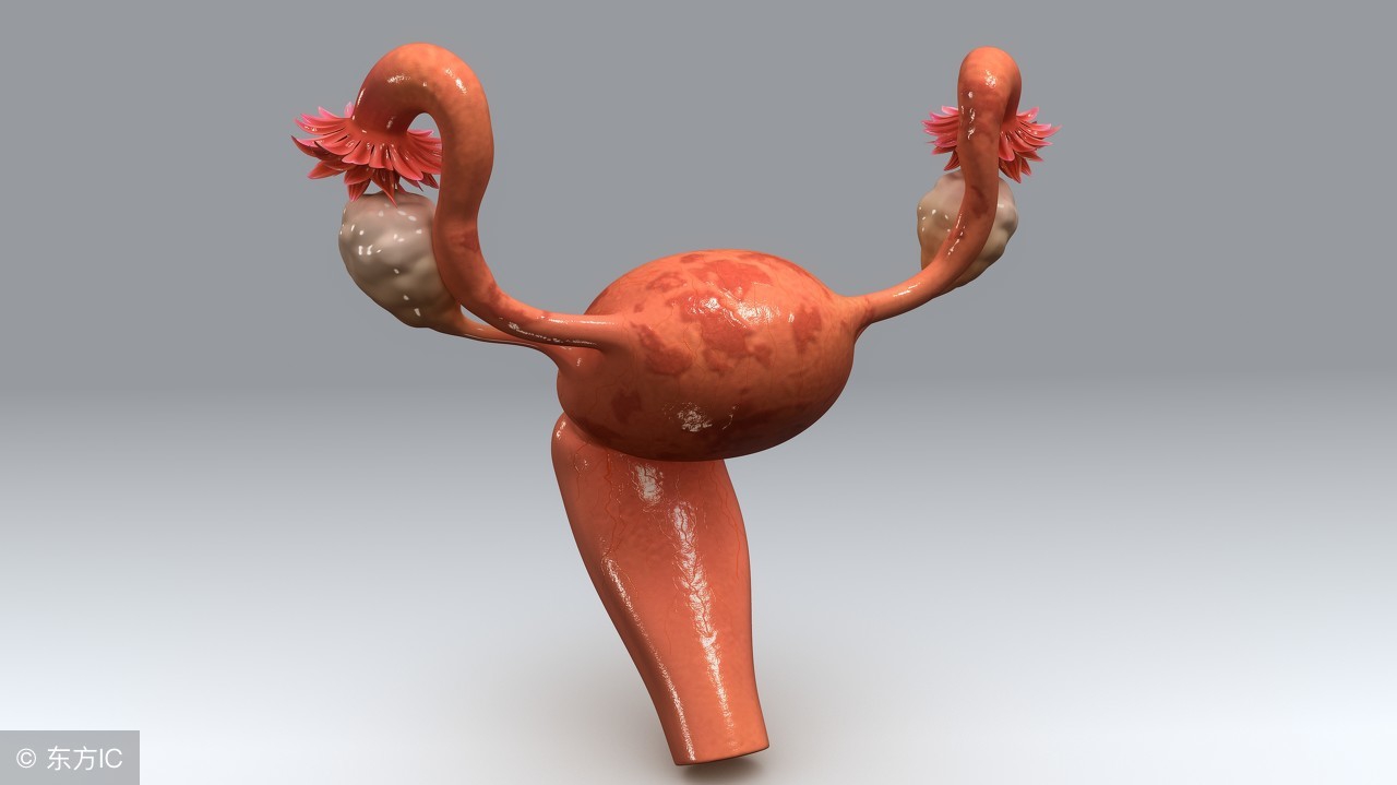 子宫内膜息肉临床表现,子宫内膜息肉症状有哪些表现