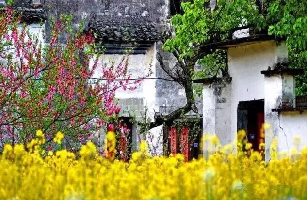 国内2月最美旅行地大推荐,风景线一路美到底(内附游玩线路)!