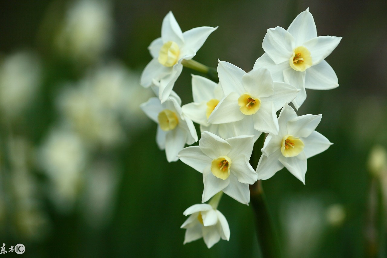 女人最在乎的三种人,不被在乎的三种人