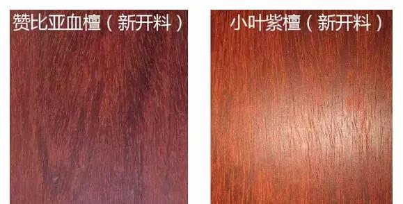 檀木世家,檀木是怎么形成的