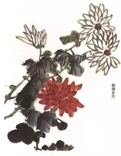 国画菊花画法教学视频,国画入门菊花的画法