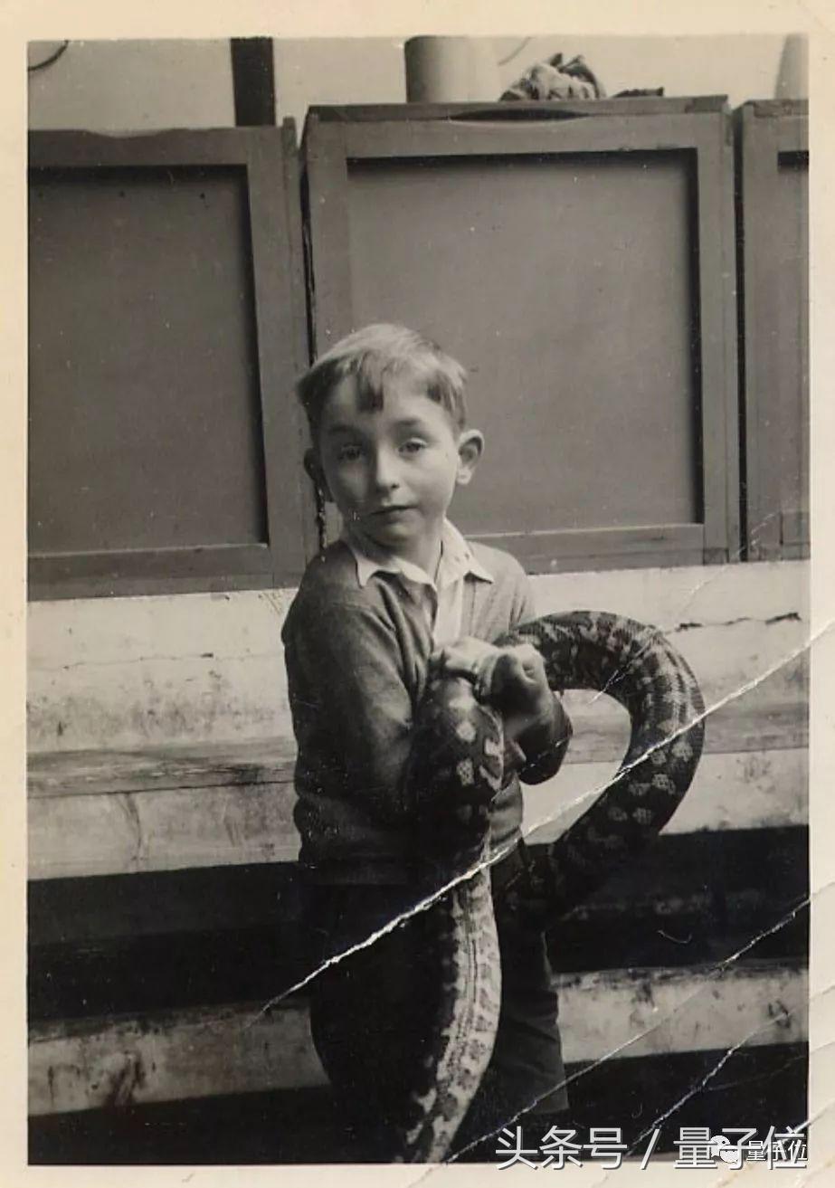 hinton经历,hinton40分钟的完整演讲