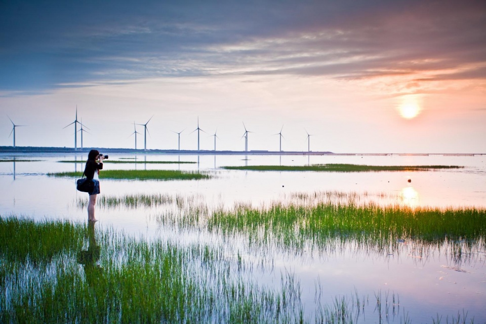 假期又有新去处了!高美湿地:摄影师的创作天堂、娱乐天地