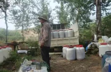 养蜂人揭秘中蜂,30年养蜂人教你如何辨别真假蜂蜜