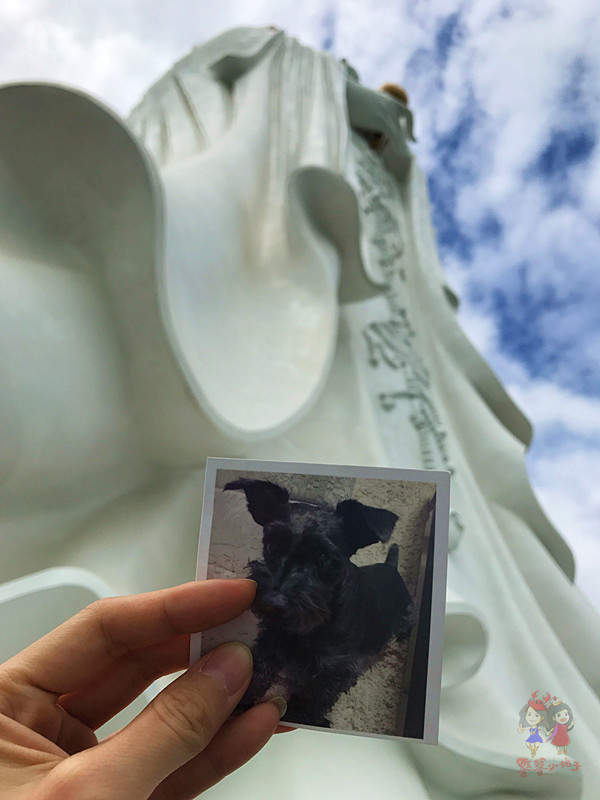 海上观音建成后就没有台风登陆吗,海上观音建成