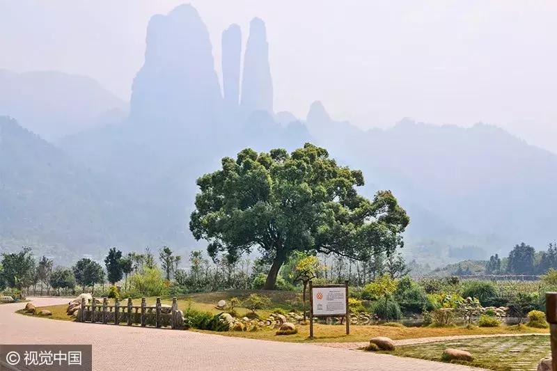 2024年全国各地春节景点优惠,春节假期多地景点免票或半价