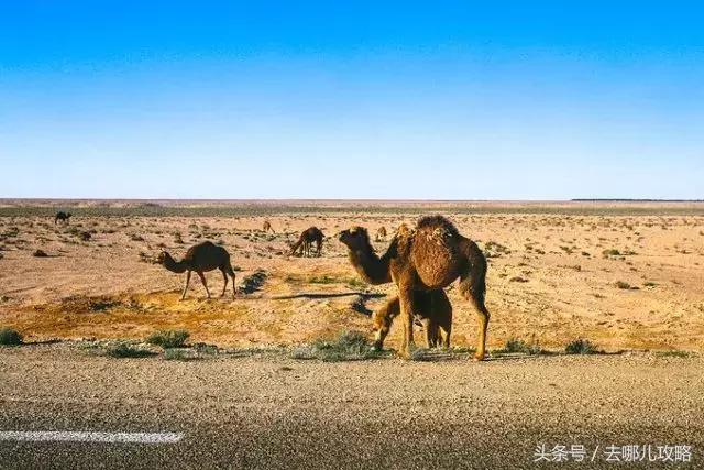 免签国家一览表最新,2023最新免签国家