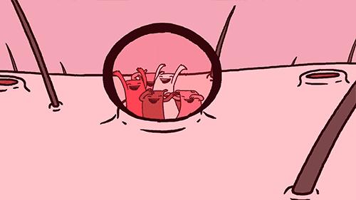 安利美容好物,安利性价比高的产品