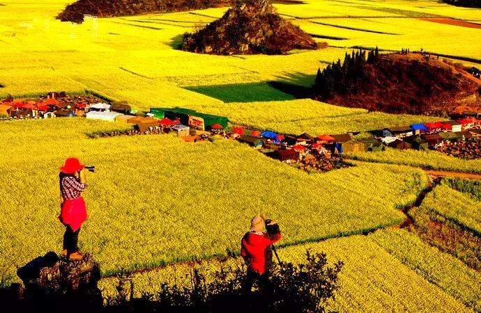 国内风景最好的旅游景点冬天,国内各地最美的十大自驾游线路