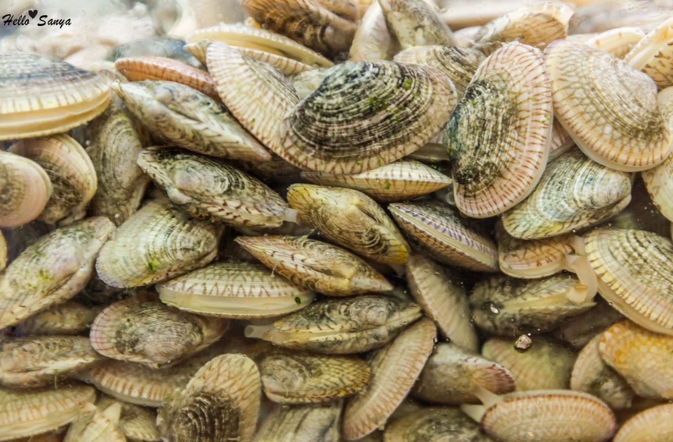 吃货们的福利，春节来三亚，墙裂推荐的特色美食全攻略