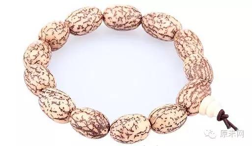 菩提本无树，果实作文玩