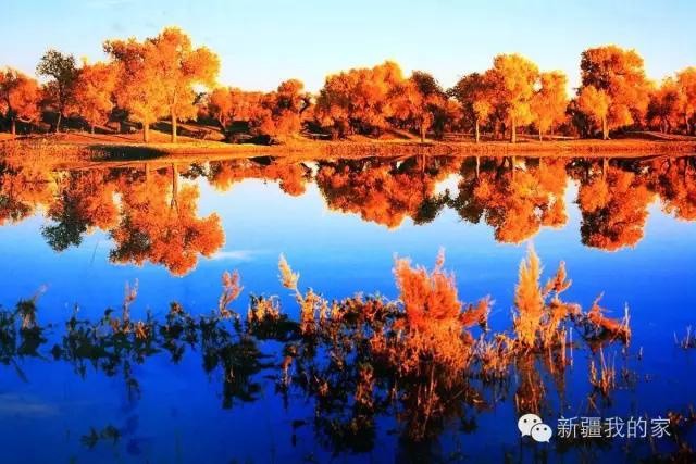 面积是全国最大县，农民收入直逼上海，说的就是*疆新**这个县