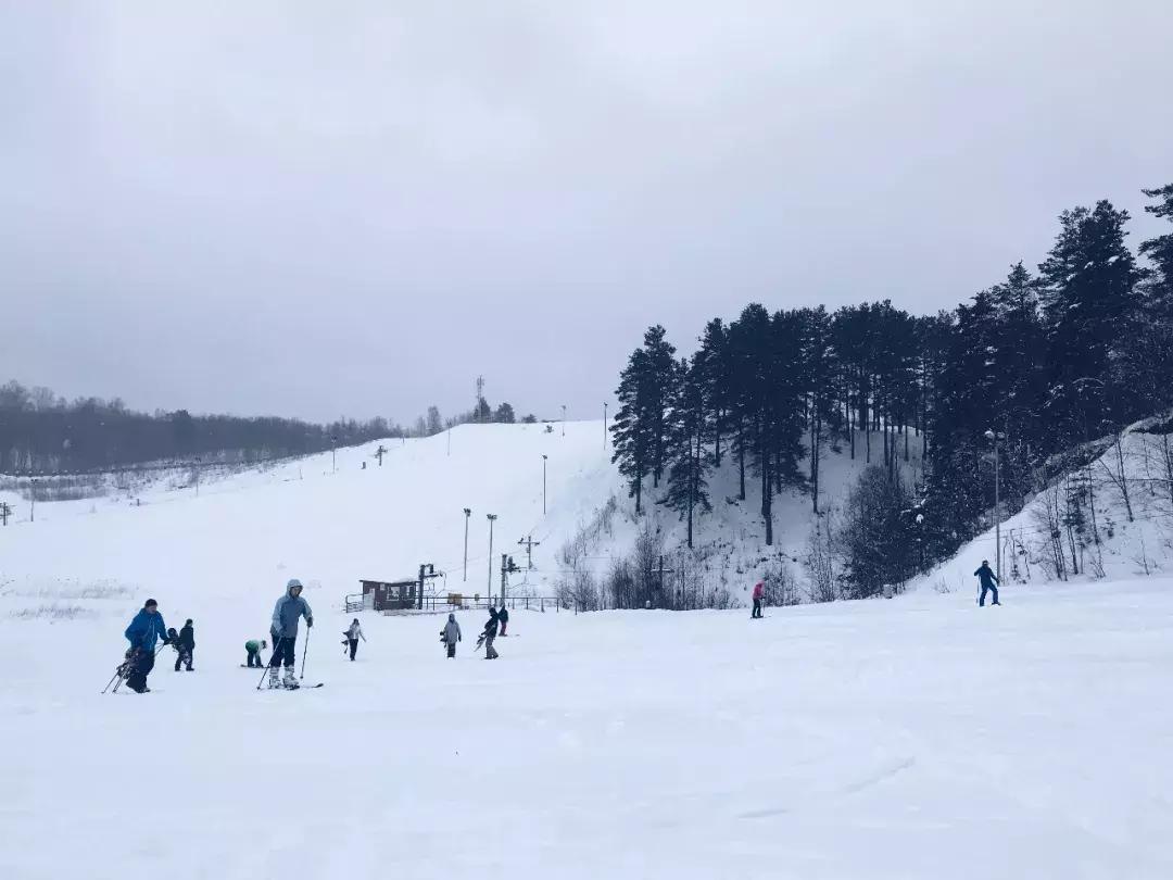 我去了一趟俄罗斯，那里有这个宇宙间最高的审美和康熙大帝的美食