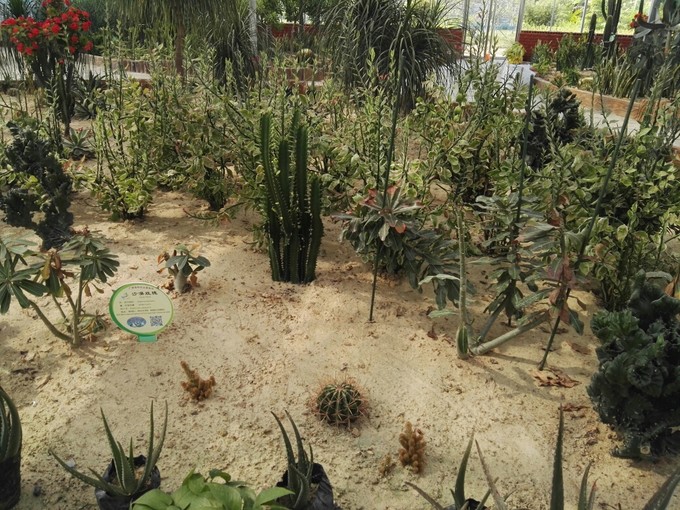 新农村五彩田园图片,农村五彩田园