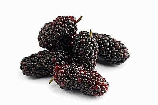 血管的清洁工是啥,血管清洁工