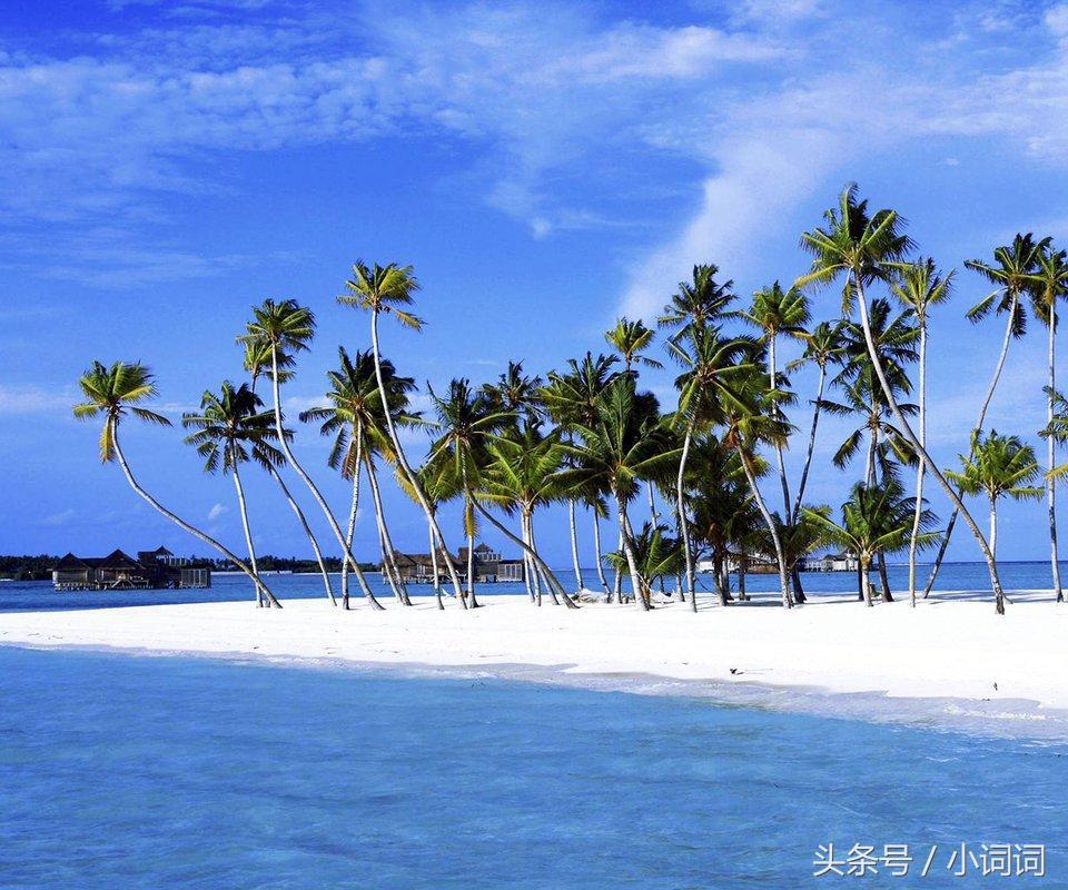 明星的婚礼都在哪里举行,明星中最浪漫的婚礼