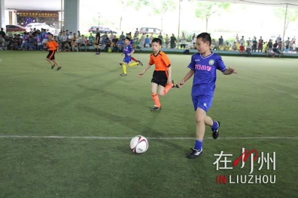 2024柳州小学生足球比赛,柳州小学区长杯足球比赛