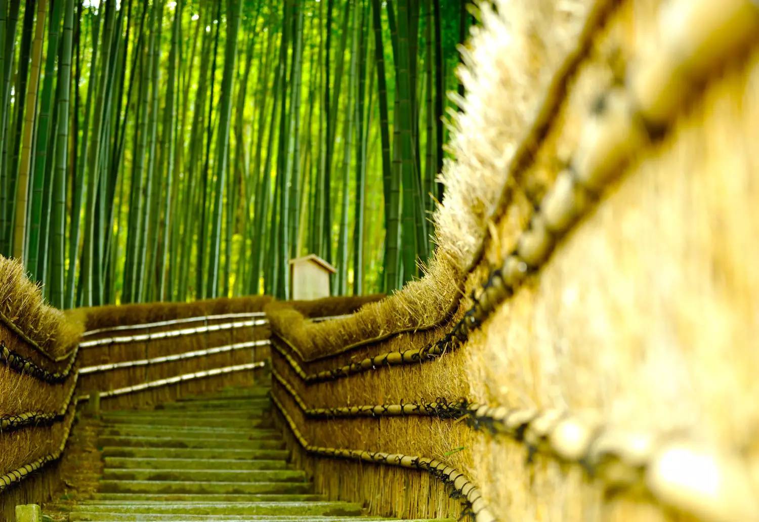 日本十大最美的风景,日本十大顶级美景