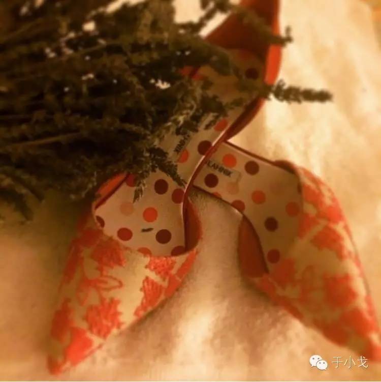 怎样优质晒单,晒单怎么样操作