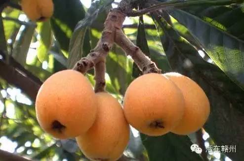 摇啊摇，摇啊摇，摇不到童年的桥，这些美食你还记得吗？