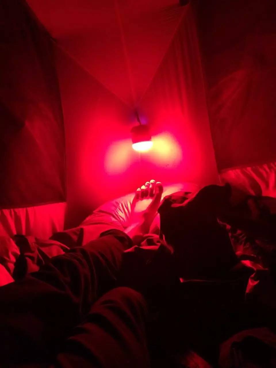 为什么山友们叫它神灯?