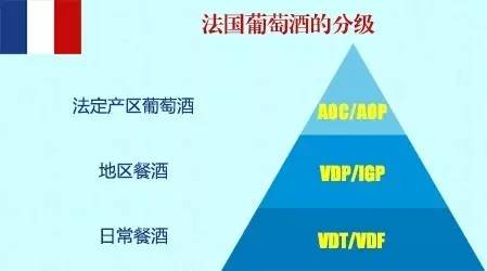 xo和vsop喝起来什么区别,vsop到底怎么喝