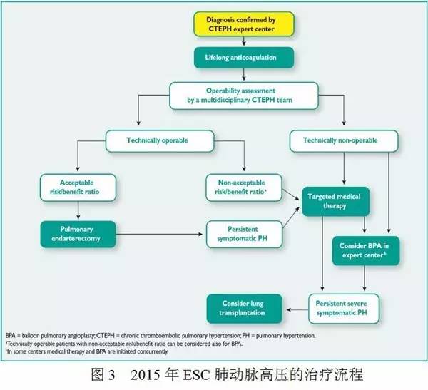 荆志成：特发性肺动脉高压1例