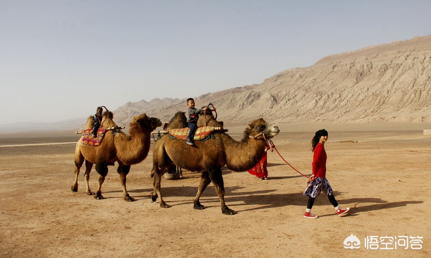 从新疆去内地工作哪个城市好,留疆战士有没有发展前途
