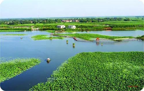 保定人性格特点,保定各县排行榜