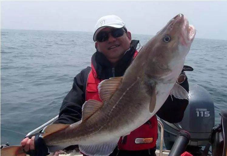 矶钓海钓诱饵笼的用法大全,冬季海钓矶钓用什么假饵最好用