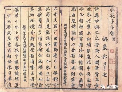 王辉斌：宋金元诗人的梅花诗