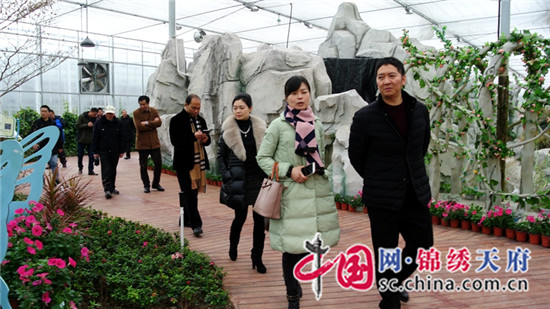 劳模感言一句话大全,劳模精神贺词