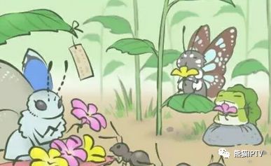 旅行青蛙和熊猫旅行,旅行青蛙大熊猫