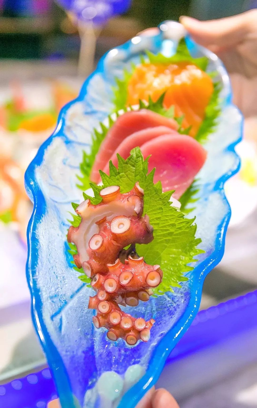 「心念初」收好不谢！135家网红店春节闭店时间表！别吃闭门羮了！