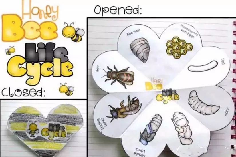 有创意的读书报告,读书报告怎么做又简单又好看