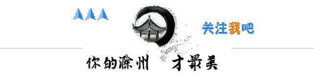 滁州网约车平台对车型有什么要求,滁州网约车骗局曝光