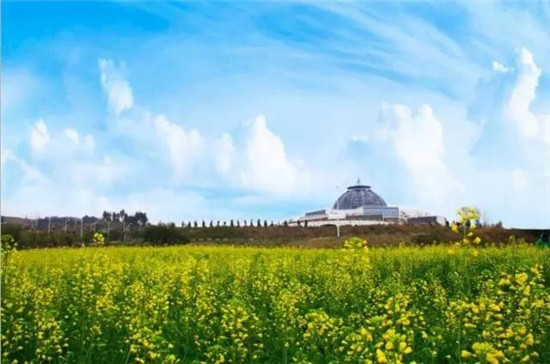 春节昆明周边好玩的地方推荐,昆明春节出游