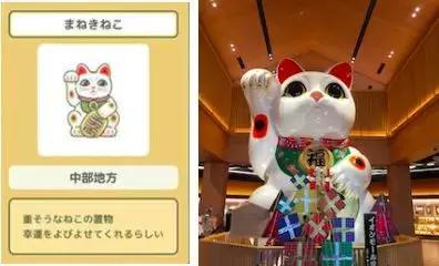 蛙不着家！空巢老母亲就将它去的地方、买的珍品统统扒了一遍！