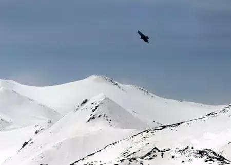 面积是全国最大县，农民收入直逼上海，说的就是*疆新**这个县