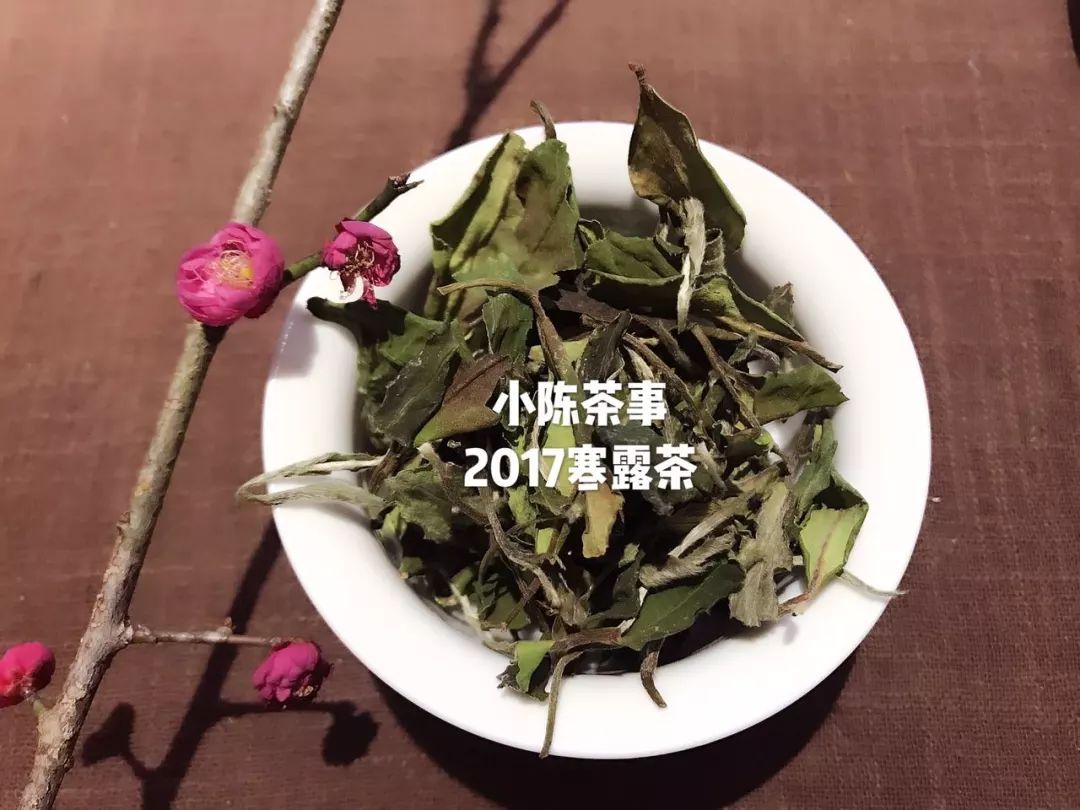 喝茶放松下心情,喝茶是最放松的时刻
