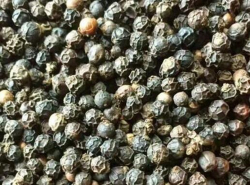 种植胡椒多少钱一斤,胡椒价格最新消息胡椒产地