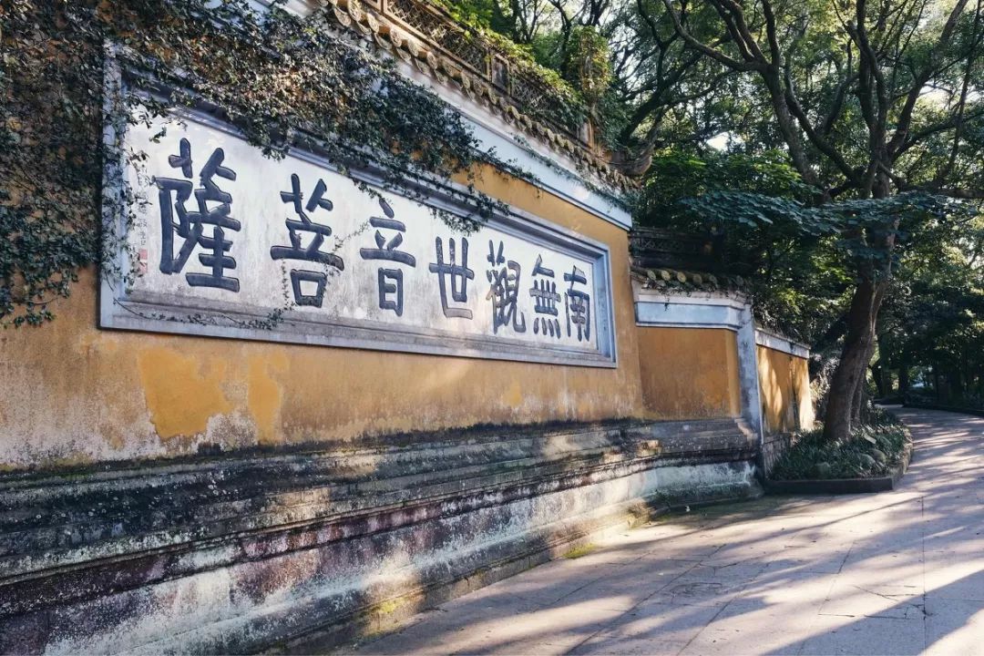 舟山沿海城市有多美,舟山是一座有魅力的城市
