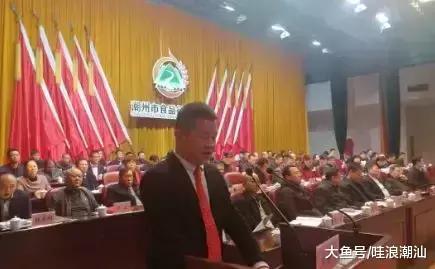 庵埠十大食品企业老板,庵埠十大名企