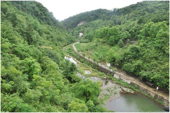 十七珍酒,珍酒是啥