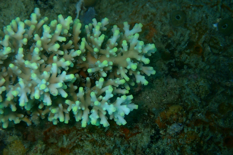菲律宾科隆群岛游,菲律宾巴拉望科隆群岛自由行