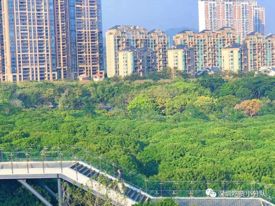 深圳福田结婚登记处环境,深圳最美结婚登记处