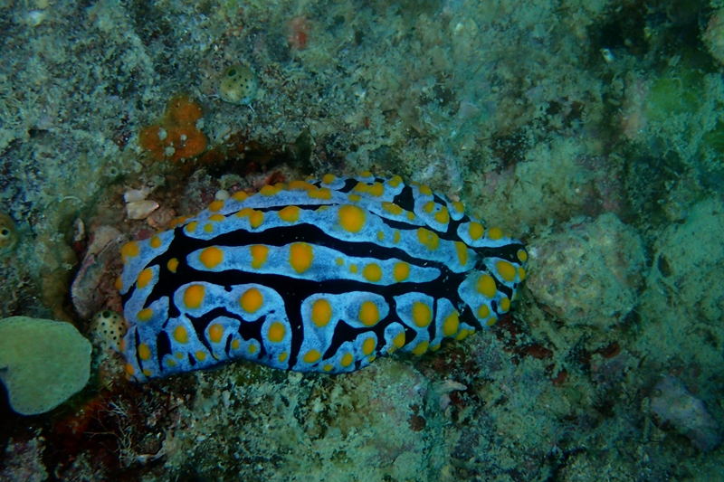 菲律宾科隆群岛游,菲律宾巴拉望科隆群岛自由行